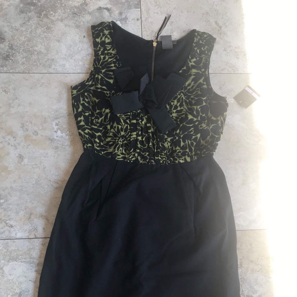 Brand New Taylor Dress Sz 6 Silk